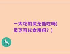 一大坨的灵芝能吃吗(灵芝可以食用吗？)
