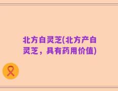 北方白灵芝(北方产白灵芝，具有药用价值)