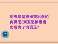 刘五魁是被谁交出去的肉灵芝(刘五魁被谁出卖成为了肉灵芝？