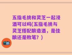 五指毛挑和灵芝一起浸酒可以吗(五指毛挑与灵芝搭配酿造酒，是佳酿还是败笔？)
