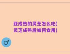 亚成熟的灵芝怎么吃(灵芝成熟后如何食用)