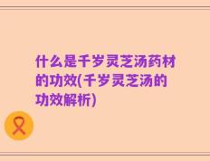 什么是千岁灵芝汤药材的功效(千岁灵芝汤的功效解析)
