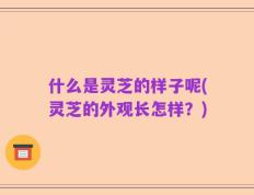 什么是灵芝的样子呢(灵芝的外观长怎样？)