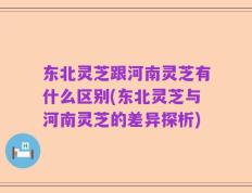 东北灵芝跟河南灵芝有什么区别(东北灵芝与河南灵芝的差异探析)