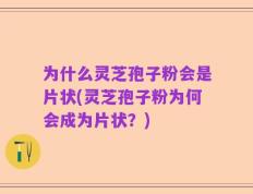 为什么灵芝孢子粉会是片状(灵芝孢子粉为何会成为片状？)