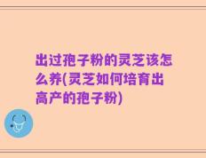 出过孢子粉的灵芝该怎么养(灵芝如何培育出高产的孢子粉)
