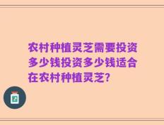 农村种植灵芝需要投资多少钱投资多少钱适合在农村种植灵芝？