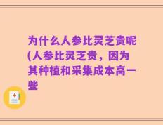 为什么人参比灵芝贵呢(人参比灵芝贵，因为其种植和采集成本高一些