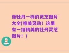 像牡丹一样的灵芝图片大全(唯美灵动！这里有一组精美的牡丹灵芝图片！)