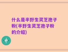 什么是半野生灵芝孢子粉(半野生灵芝孢子粉的介绍)