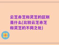 云芝赤芝和灵芝的区别是什么(比较云芝赤芝和灵芝的不同之处)