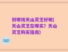 到哪找天山灵芝好呢(天山灵芝在哪买？天山灵芝购买指南)