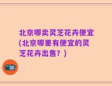 北京哪卖灵芝花卉便宜(北京哪里有便宜的灵芝花卉出售？)