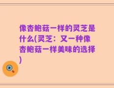 像杏鲍菇一样的灵芝是什么(灵芝：又一种像杏鲍菇一样美味的选择)