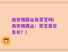 南京栖霞山有灵芝吗(南京栖霞山：灵芝是否生长？)
