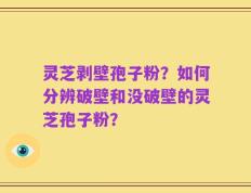 灵芝剥壁孢子粉？如何分辨破壁和没破壁的灵芝孢子粉？
