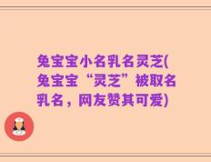 兔宝宝小名乳名灵芝(兔宝宝“灵芝”被取名乳名，网友赞其可爱)