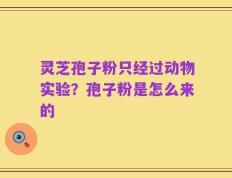灵芝孢子粉只经过动物实验？孢子粉是怎么来的