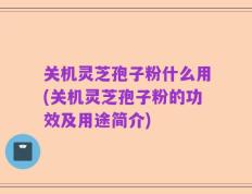 关机灵芝孢子粉什么用(关机灵芝孢子粉的功效及用途简介)