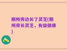 厕所旁边长了灵芝(厕所旁长灵芝，有益健康)