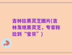 吉林捡黑灵芝图片(吉林发现黑灵芝，专家称捡到“宝贝”)