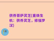 供养菩萨灵芝(重焕生机：供养灵芝，修福罗汉)