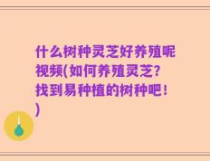 什么树种灵芝好养殖呢视频(如何养殖灵芝？找到易种植的树种吧！)