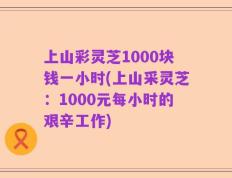 上山彩灵芝1000块钱一小时(上山采灵芝：1000元每小时的艰辛工作)
