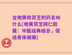 含地黄和灵芝的药名叫什么(地黄灵芝同仁胶囊：中医经典组合，促进身体健康)