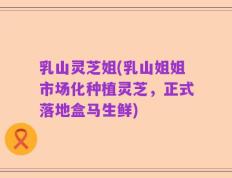 乳山灵芝姐(乳山姐姐市场化种植灵芝，正式落地盒马生鲜)