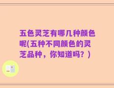 五色灵芝有哪几种颜色呢(五种不同颜色的灵芝品种，你知道吗？)