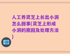 人工养灵芝上长出小洞怎么回事(灵芝上形成小洞的原因及处理方法)