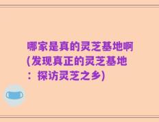 哪家是真的灵芝基地啊(发现真正的灵芝基地：探访灵芝之乡)