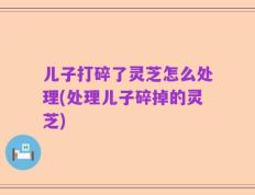 儿子打碎了灵芝怎么处理(处理儿子碎掉的灵芝)