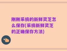 刚刚采摘的新鲜灵芝怎么保存(采摘新鲜灵芝的正确保存方法)
