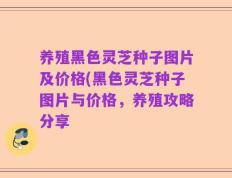 养殖黑色灵芝种子图片及价格(黑色灵芝种子图片与价格，养殖攻略分享