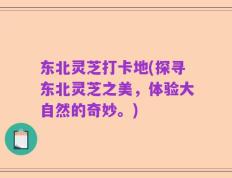 东北灵芝打卡地(探寻东北灵芝之美，体验大自然的奇妙。)