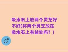 吸水石上放两个灵芝好不好(将两个灵芝放在吸水石上有益处吗？)