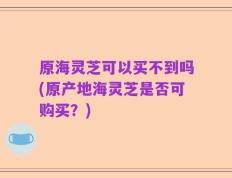 原海灵芝可以买不到吗(原产地海灵芝是否可购买？)