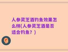 人参灵芝酒钓鱼效果怎么样(人参灵芝酒是否适合钓鱼？)