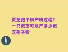 灵芝孢子粉产粉过程？一只灵芝可以产多少灵芝孢子粉