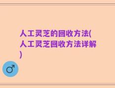 人工灵芝的回收方法(人工灵芝回收方法详解)