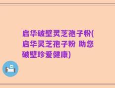 启华破壁灵芝孢子粉(启华灵芝孢子粉 助您破壁珍爱健康)
