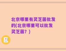 北京哪里有灵芝菌批发的(北京哪里可以批发灵芝菌？)