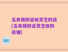 五夫镇附近收灵芝的店(五夫镇附近灵芝收购店铺)