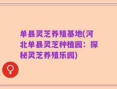 单县灵芝养殖基地(河北单县灵芝种植园：探秘灵芝养殖乐园)