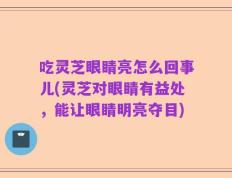 吃灵芝眼睛亮怎么回事儿(灵芝对眼睛有益处，能让眼睛明亮夺目)