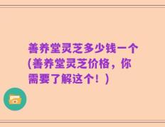 善养堂灵芝多少钱一个(善养堂灵芝价格，你需要了解这个！)