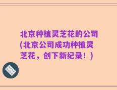 北京种植灵芝花的公司(北京公司成功种植灵芝花，创下新纪录！)