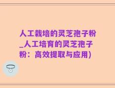 人工栽培的灵芝孢子粉_人工培育的灵芝孢子粉：高效提取与应用)